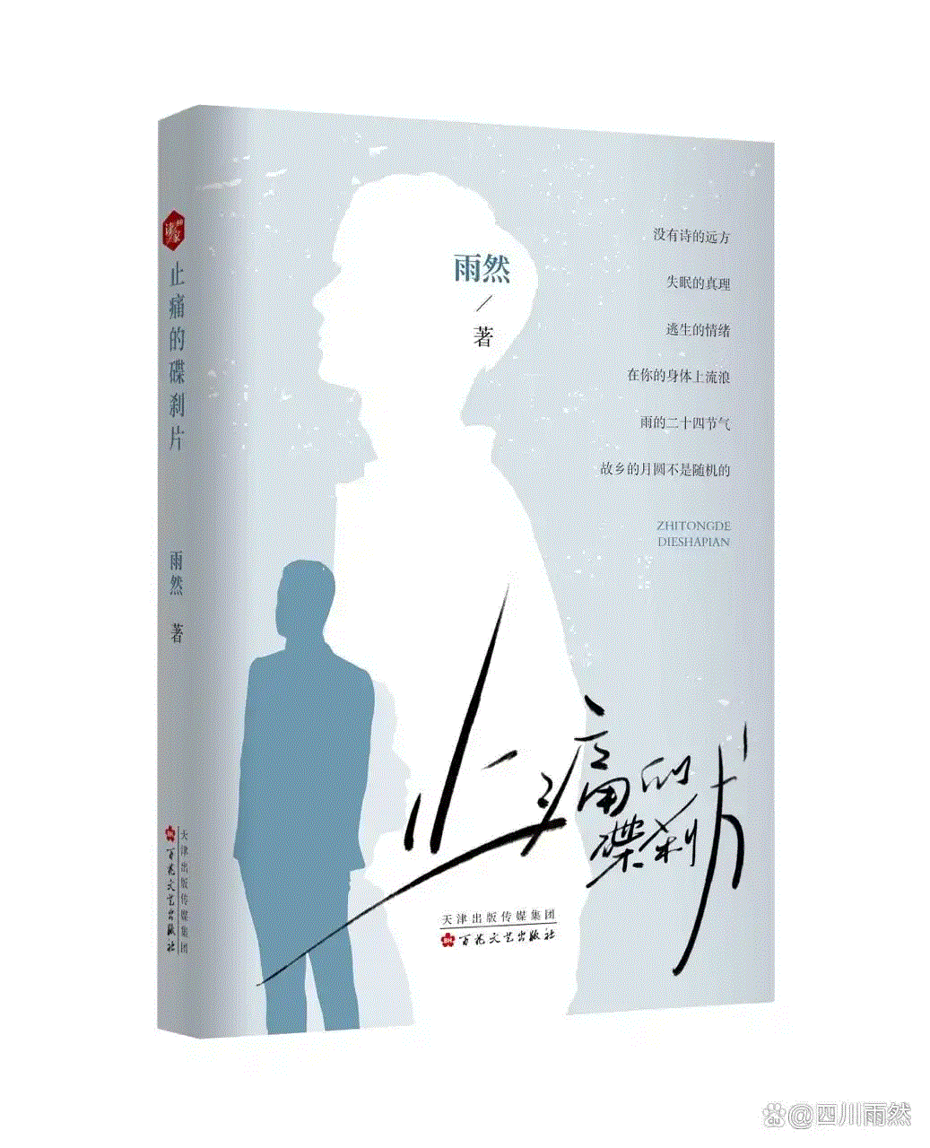 书讯｜青年诗人雨然诗集《止痛的碟刹片》出版