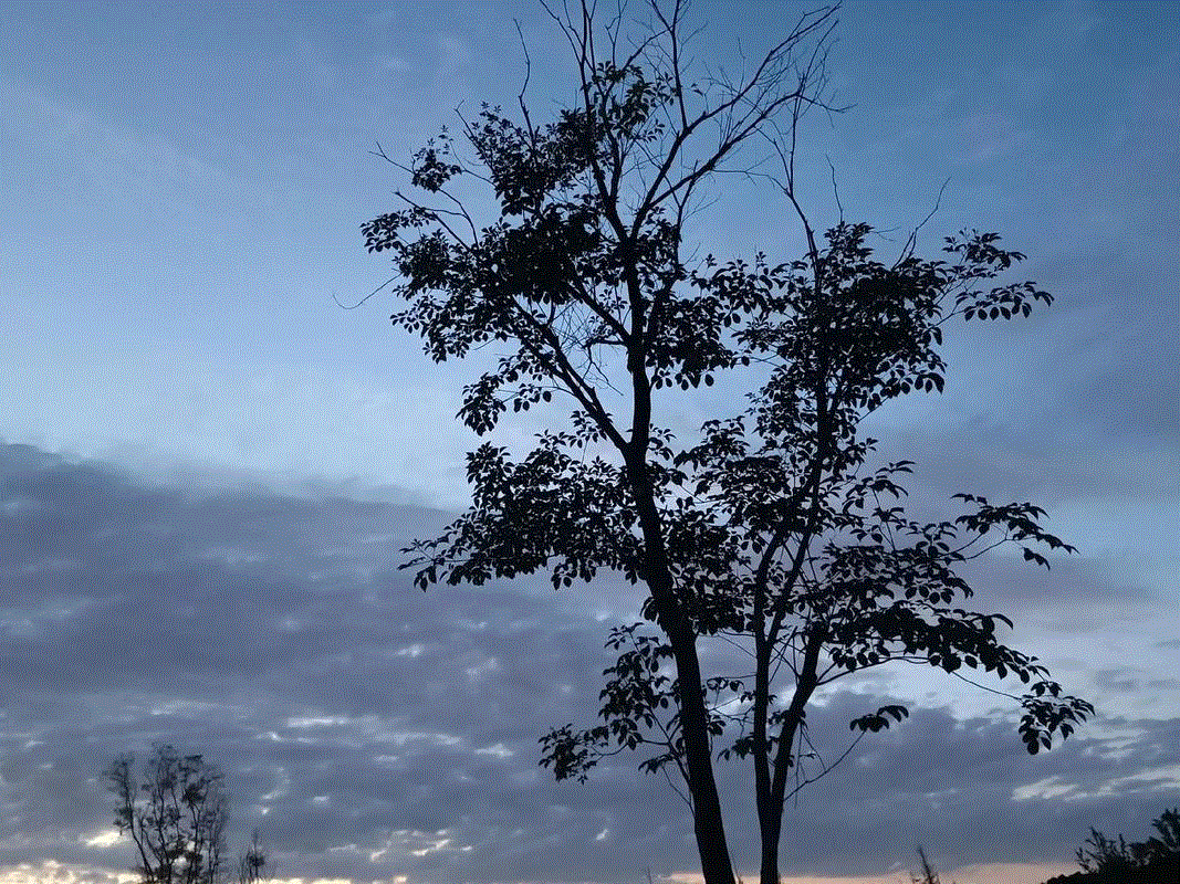 雨然：下午的热变成傍晚的风