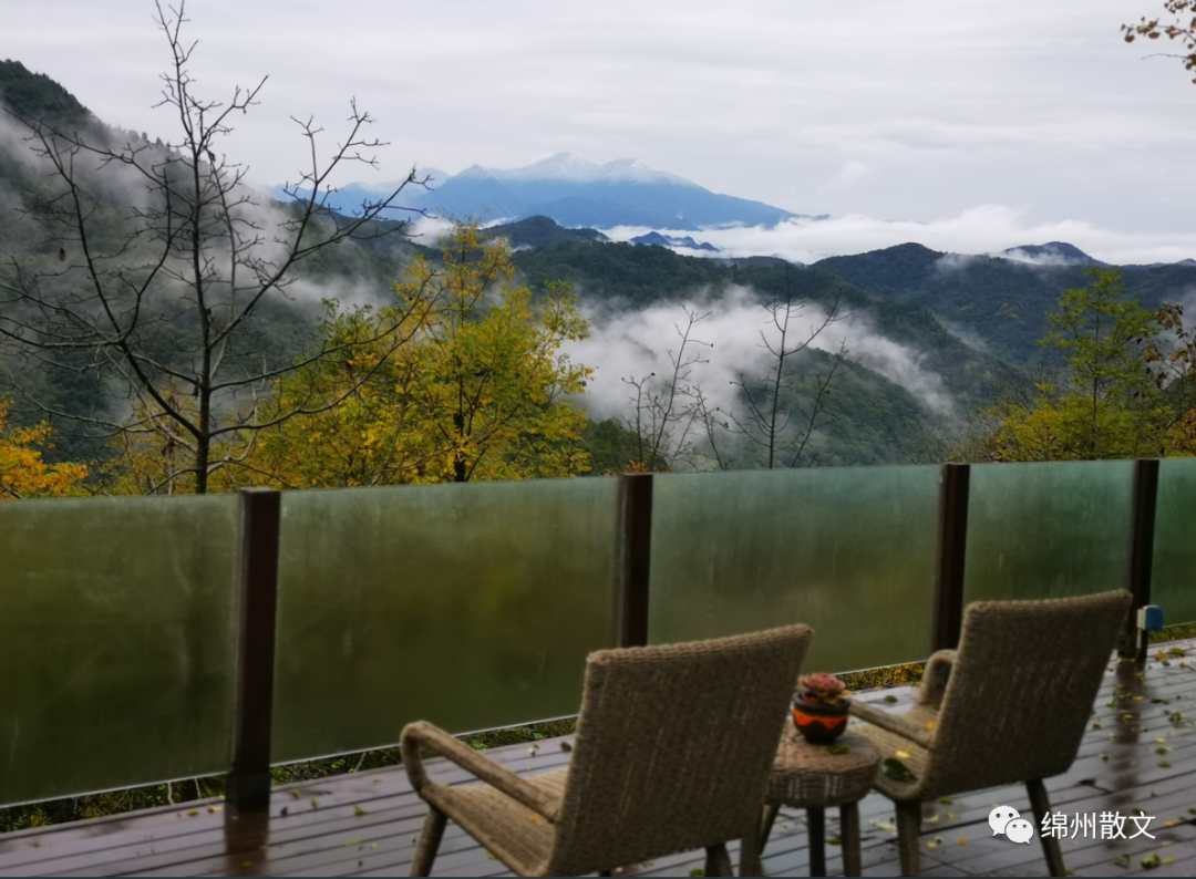 严显勇：花间伴山